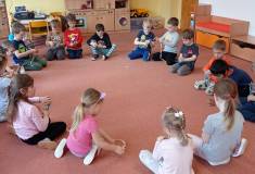 IMG_20250410_091306